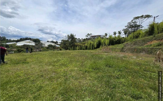 Lote en Carmen de viboral