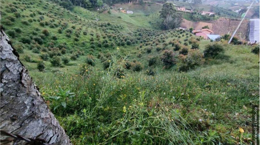 Venta de Lote en Marinilla