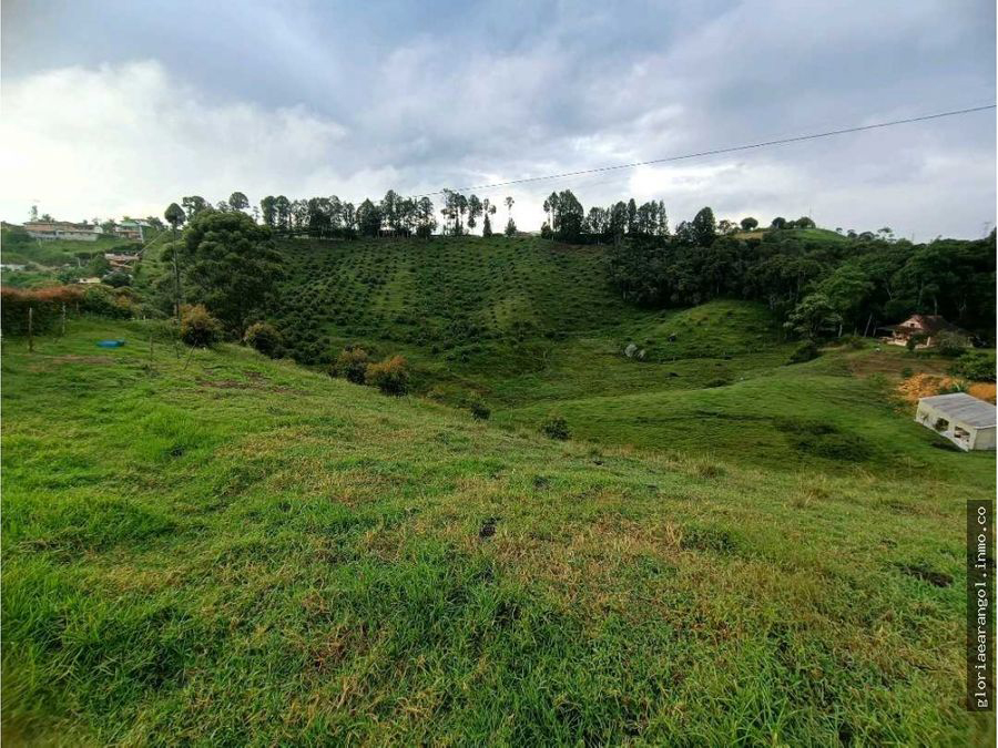 Casas y Lotes en el Oriente Antioqueño